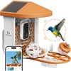 Pipishell Camera Bird Feeder for Outside, Solar-Powered Smart Bird Feeder with Camera, AI Identification 10000+ Birds Species, 2K Live View, Instant Visit Alerts, Gift for Birdwatching (PIWBF01OR)
